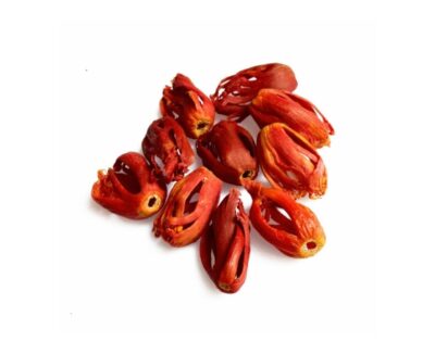 Website Images - Pure Mace 09 - 50Gms - Whole Spices Website Images - Pure Mace 09 - 50Gms - Whole Spices