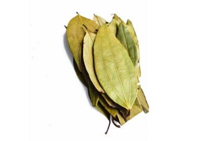Website Images - Pure Bay Leaf 08 - 50Gms - Whole Spices Website Images - Pure Bay Leaf 08 - 50Gms - Whole Spices