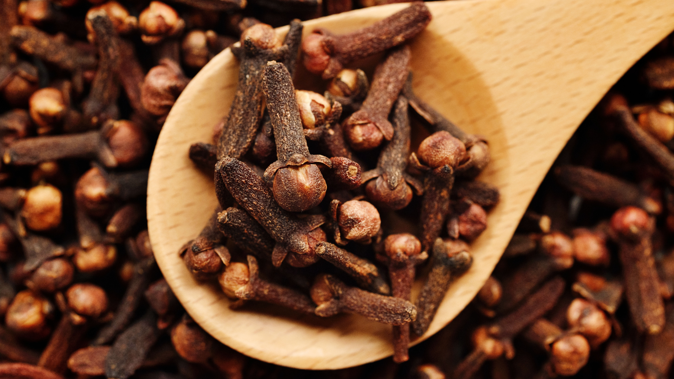 Black Pepper Guide