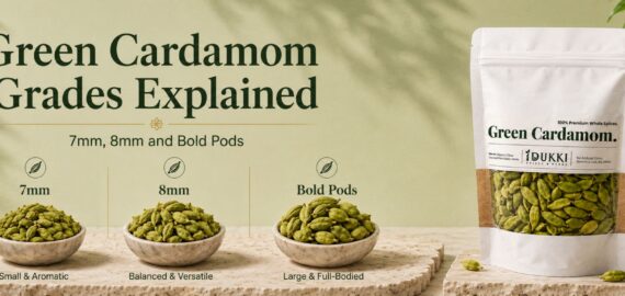 Green Cardamom Grades Explained: 7mm, 8mm and Bold Pods Green Cardamom Grades Explained: 7mm, 8mm and Bold Pods