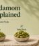 Green Cardamom Grades Explained: 7mm, 8mm and Bold Pods